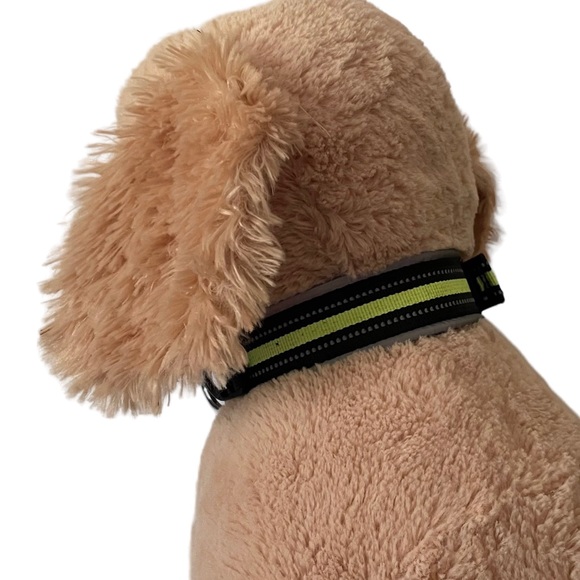 NEW - Padded Dog Collar M Reflective Trim Black Volt - Picture 2 of 12